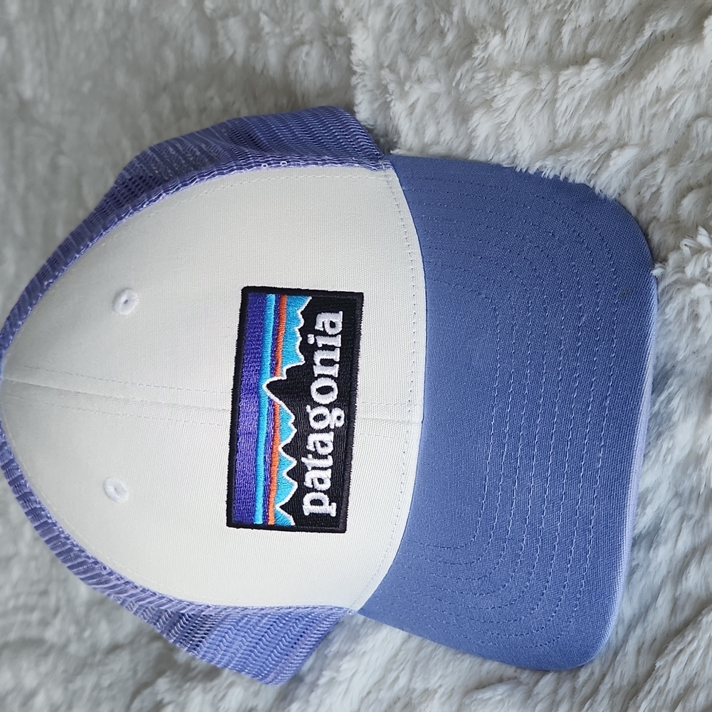 Patagonia Trucker Hat